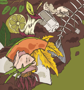 Drawing of compost pile